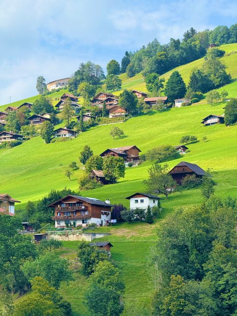 A charming wooden house with a grey tiled roof is situated in a lush, green hillside landscape. The house features a small front garden with vibrant flowers, shrubs, and a decorative hanging basket of bright pink blooms beneath the window. To the right of the house, there is a weathered metal shed with a rusted brown roof, positioned on a grassy slope. A flagpole displaying a red and white Union Jack flag stands nearby, indicating a possible UK location. Surrounding the property, the rolling terrain is covered in well-maintained grass and scattered trees, with a low wooden fence bordering the garden area. In the background, multiple small houses are scattered across the hillside, connected by winding gravel paths that traverse the vibrant green landscape. The scene is bathed in natural daylight, highlighting the vivid colors and textures of the rural setting, with no visible waste or rubble in the vicinity, emphasizing the peaceful and tidy environment typical of private rural homes near countryside rubbish collection services or alternative disposal options.