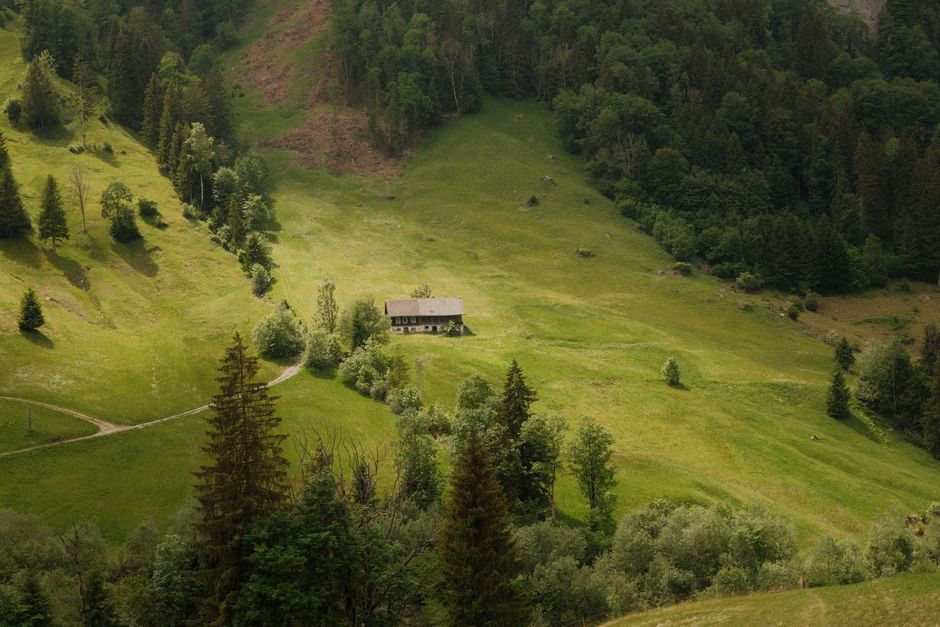 A rural landscape featuring a single-story wooden house situated on a gentle grassy slope surrounded by a variety of trees and shrubs. The house has a dark-colored roof and light-colored walls, with visible windows on the front façade. Behind the house, the terrain ascends into densely wooded hills covered with tall, mature trees including conifers and deciduous species. In the foreground, a narrow dirt path winds through the lush green meadow, which appears well-maintained and free of debris. The scene is illuminated by natural daylight, casting soft shadows across the landscape, with no signs of human activity or waste visible. The overall setting conveys an untouched, natural environment typical of a countryside or mountain area, with no immediate signs of rubbish or waste management infrastructure present, aligning with an unobstructed view of the environment outside typical urban rubbish removal services, emphasizing the serene and pristine rural setting.